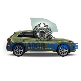 Vidro Porta Dianteira Audi Q5 Modelos 2017 a 2024 Original