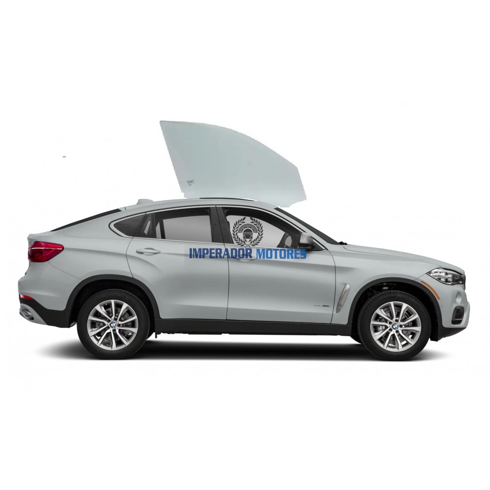 Vidro Porta Dianteira BMW X6 Modelos 2015 a 2019 Original