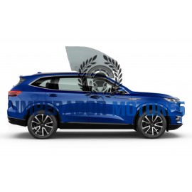 Vidro Porta Dianteira GWM HAVAL H6 Modelos 2023 a 2025 Original