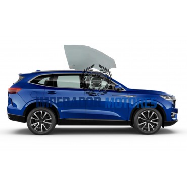 Vidro Porta Dianteira GWM HAVAL H6 GT Modelos 2023 a 2025 Original