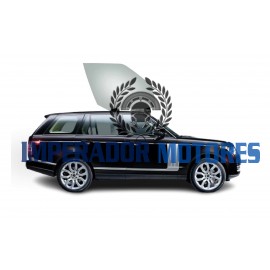 Vidro Porta Dianteira RANGE ROVER SPORT  Modelos 2014 a 2020 Original