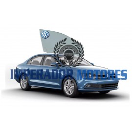 Vidro Porta Dianteira VW Jetta Modelos  2011 A 2018 Original