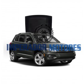 Vidro Teto Solar VW Tiguan Modelos 2010 A 2017 Original