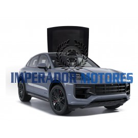 Vidro Teto Solar Porsche Cayenne Coupe Modelos 2019 A 2025 Original