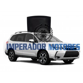 Vidro Teto Solar Subaru Forester  Modelos 2013 A 2018 Original