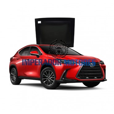 Vidro Teto Solar Lexus NX 350  Modelos 2020 A 2025 Original