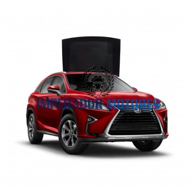 Vidro Teto Solar Lexus RX 350  Modelos 2020 A 2025 Original