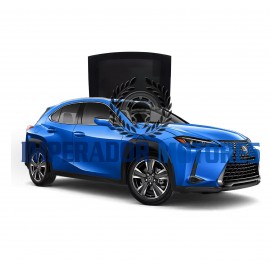 Vidro Teto Solar Lexus UX 250  Modelos 2019 A 2024 Original