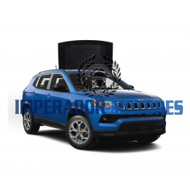Vidro Teto Solar Jeep Compas Modelos 2017 A 2025 Original
