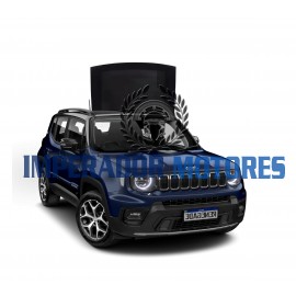 Vidro Teto Solar Jeep Renegade Modelos 2015 A 2025 Original Vidro Teto Solar Jeep Renegade Modelos 2015 A 2025 Original