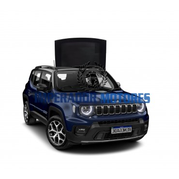 Vidro Teto Solar Jeep Renegade Modelos 2015 A 2025 Original