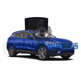 Vidro Teto Solar Jaguar FPACE Modelos 2016 A 2020 Original