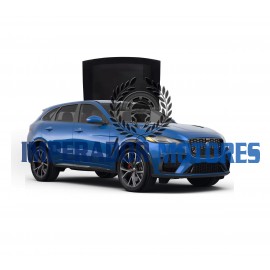 Vidro Teto Solar Jaguar FPACE Modelos 2021 A 2025 Original