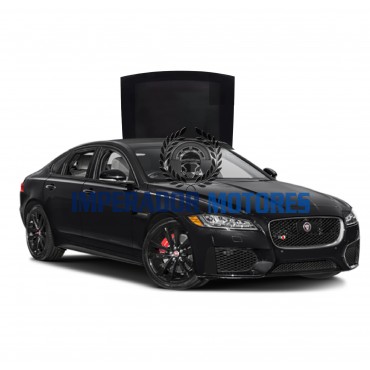 Vidro Teto Solar Jaguar XF Modelos 2012 A 2017 Original