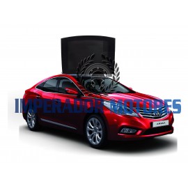 Vidro Teto Solar Hyundai Azera Modelos 2012 A 2021 Original