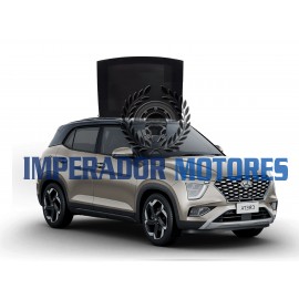 Vidro Teto Solar Hyundai CRETA Modelos 2022 A 2024 Original