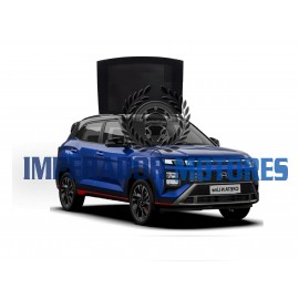 Vidro Teto Solar Hyundai CRETA Modelos 2024 A 2025 Original