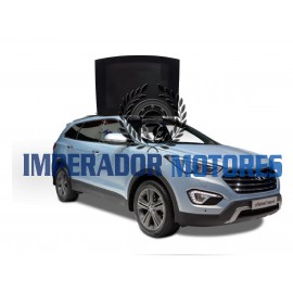 Vidro Teto Solar Hyundai Grand Santa Fe Modelos 2013 A 2017 Original
