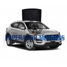 Vidro Teto Solar Hyundai  Tucson Modelos 2017 A 2022 Original