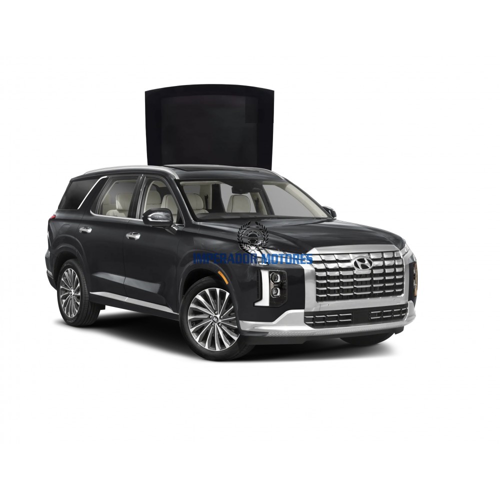 Vidro Teto Solar Hyundai Palisade Modelos 2024 A 2025 Original