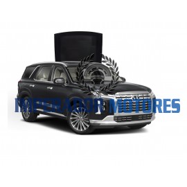 Vidro Teto Solar Hyundai Palisade Modelos 2024 A 2025 Original Vidro Teto Solar Hyundai Palisade Modelos 2024 A 2025 Original