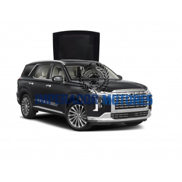 Vidro Teto Solar Hyundai Palisade Modelos 2024 A 2025 Original