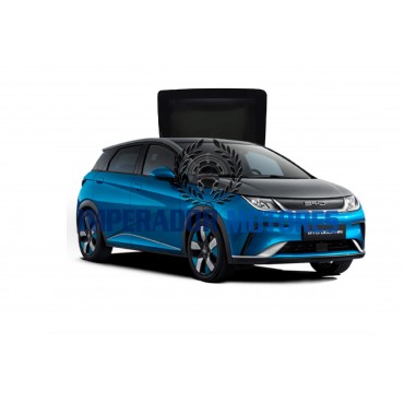 Vidro Teto solar BYD Dolphin Modelos 2023 A 2025 Original