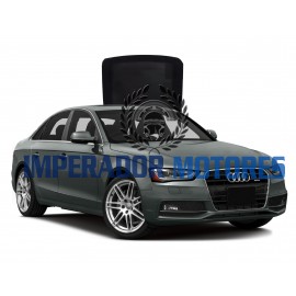 Vidro Teto Solar Audi A4 Modelos 2009 A 2015 Original
