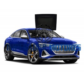 Vidro Teto Solar Audi E-TRON SPORTBACK Modelos 2020 A 2025 Original