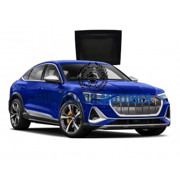 Vidro Teto Solar Audi E-TRON SPORTBACK Modelos 2020 A 2025 Original