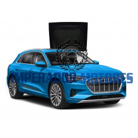 Vidro Teto Solar Audi E-TRON Modelos 2020 A 2025 Original