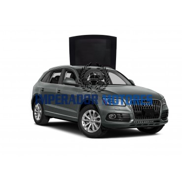 Vidro Teto Solar Audi Q5 Modelos 2009 A 2016 Original