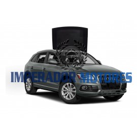 Vidro Teto Solar Audi Q5 Modelos 2009 A 2016 Original