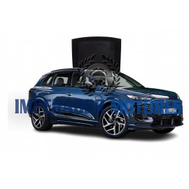 Vidro Teto Solar Audi Q6 E-TRON Modelos 2024 A 2025 Original