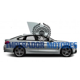 Vidro Porta Dianteira BMW 428 Modelos 2014 a 2017 Original