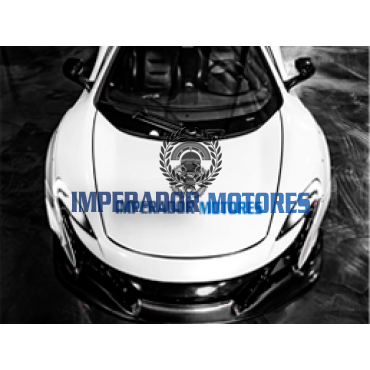 Vidro Vigia Traseiro Range  Rover Vogue  Modelos 2006 A 2012 Original